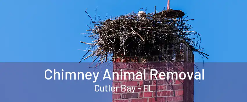 Chimney Animal Removal Cutler Bay - FL