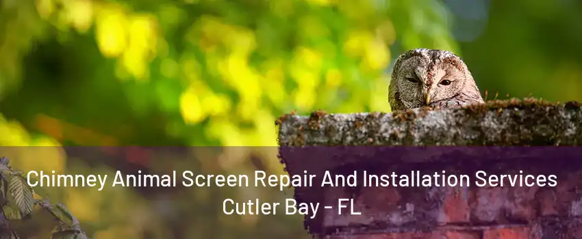 Chimney Animal Screen Repair And Installation Services Cutler Bay - FL