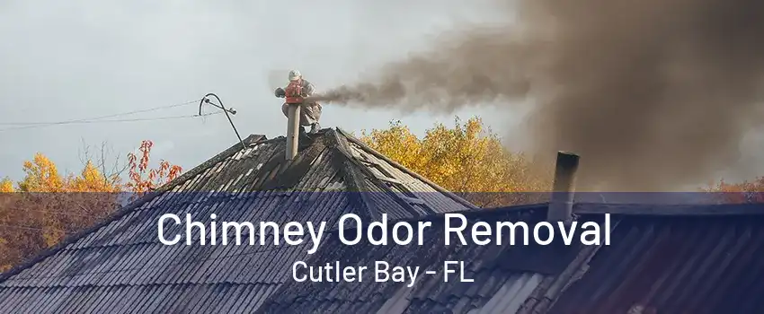 Chimney Odor Removal Cutler Bay - FL