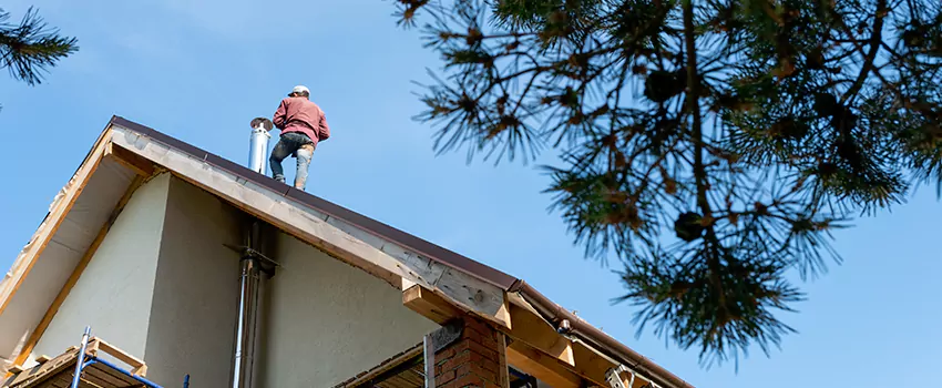 Birds Removal Contractors from Chimney in Cutler Bay, FL